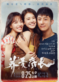 纯欧美一级毛片_免费